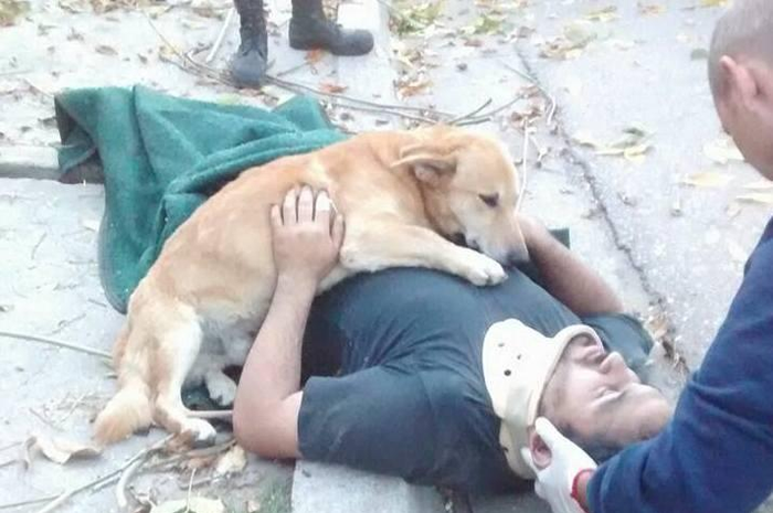 ony, seekor anjing, menolak meninggalkan Hueche yang jatuh pingsan