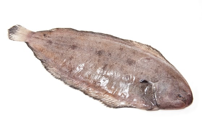 Bersama teman-teman mancingnya, ia membuat peraturan: ikan pertama yang berhasil ditangkap harus dicium oleh si pemancing.