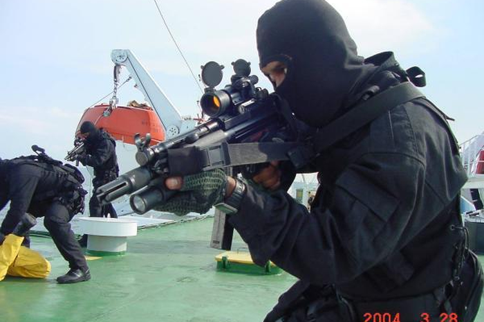 Tugas pokok pasukan khas laut Malaysia sebagai pasukan komando yang paling dibanggakan TLDM adalah mengamankan perairan Malaysia, objek vital, serta melakukan pertempuran darat yang diperlukan.