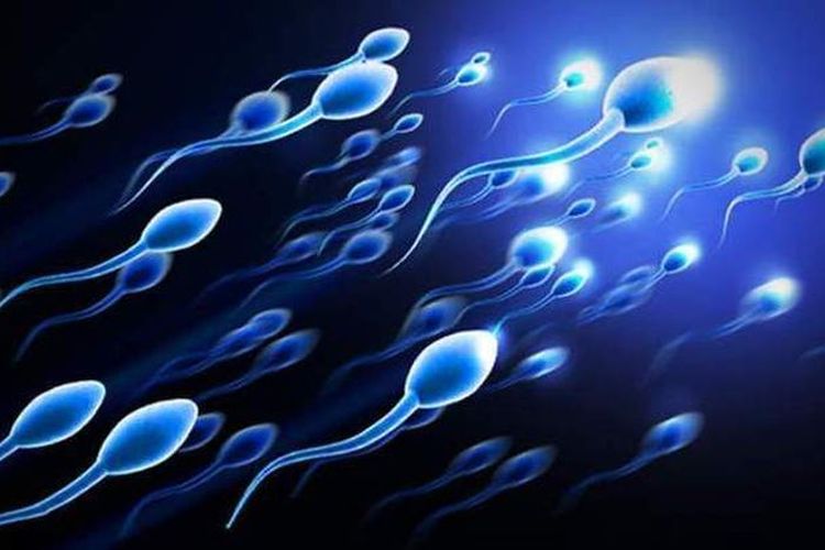 Sperma schlucken tubes