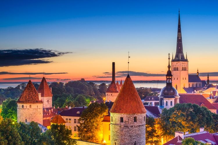 Belajar dari Estonia, Negeri Kecil dengan Pemerintahan Full Digital