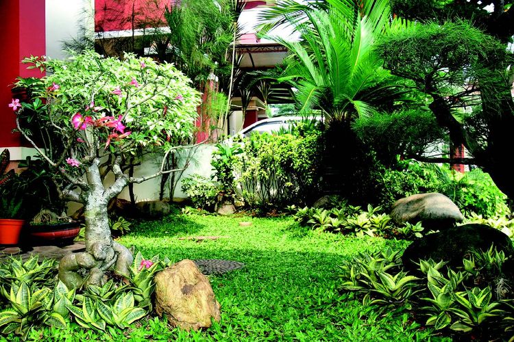 Mengenal Lima Gaya Taman yang Ada di Dunia dan Karakter Tiap Jenisnya