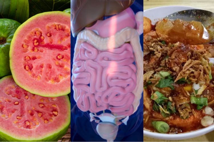 Berita Fungsi Usus Buntu Terbaru Hari Ini - Grid.ID