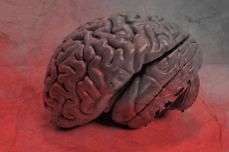 Pikiran Bawah Sadar yang Misterius