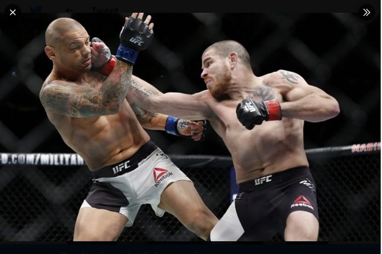Celana reebok ufc top