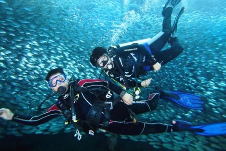 Apa Sih Bedanya Diving dengan Snorkeling? Ini Dia Jawabannya