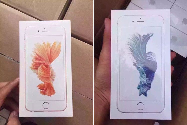 900+ Wallpaper Cantik Iphone Paling Baru 900+ Wallpaper Cantik Iphone Paling Baru