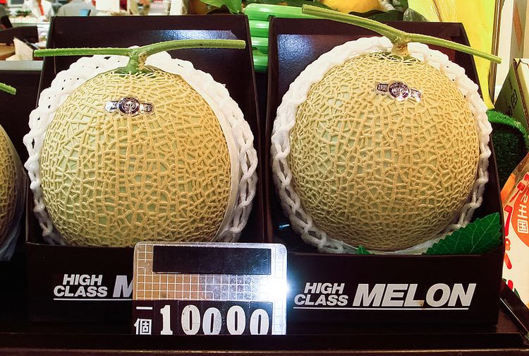 Ada yang Per Buah Mencapai 650 Juta, Mengapa Harga Buah di Jepang