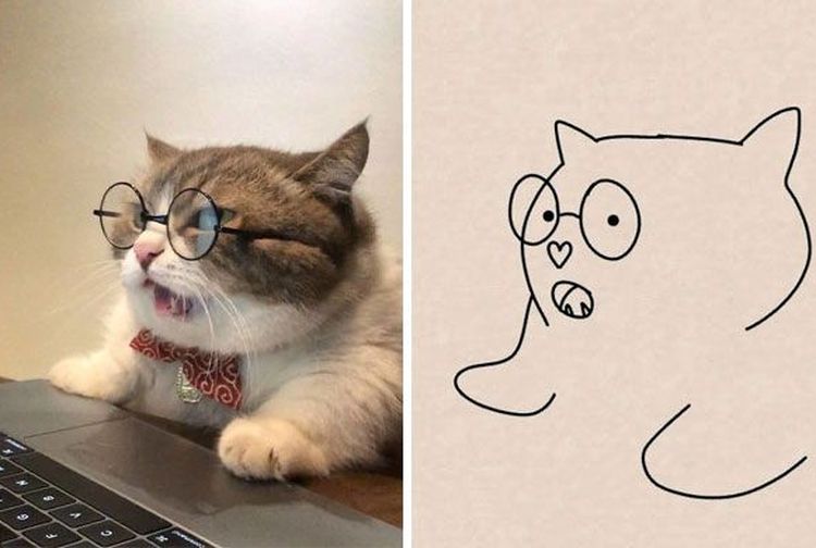 Kelihatannya Digambar Dengan Asal Namun Gambar Gambar Hewan Ini