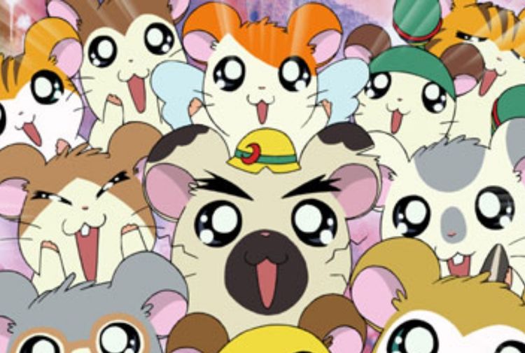 Kunci Chord dan Lirik Lagu Hamtaro  Opening Theme Bahasa  