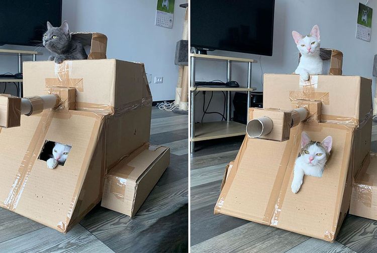 Kreatif! Bosan Karantina di Rumah, OrangOrang Ini Membuat Tank dari