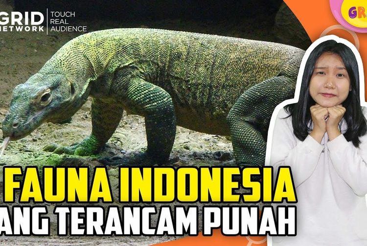Akibat Perburuan Liar, 5 Hewan Asal Indonesia Ini Juga Terancam Punah