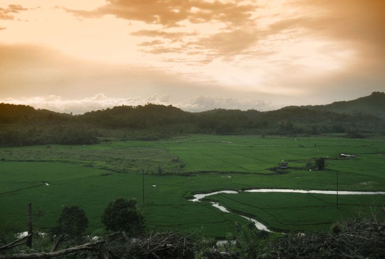 Bentang Alam di Pulau Kalimantan Gunung, Bukit, Sungai hingga Dataran