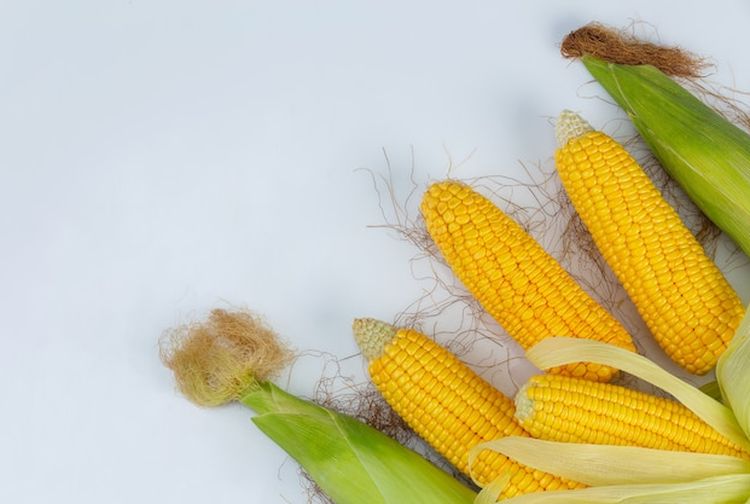 Chord dan Lirik Lagu Menanam Jagung 'Cangkul', Lagu Anak-Anak Populer