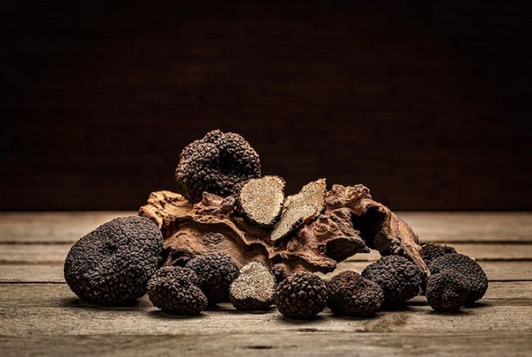 Kenapa Jamur Truffle Dijual dengan Harga yang Sangat Mahal? 