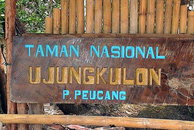 13 Fakta Menarik Taman Nasional Ujung Kulon, Habitat Alami bagi Badak
