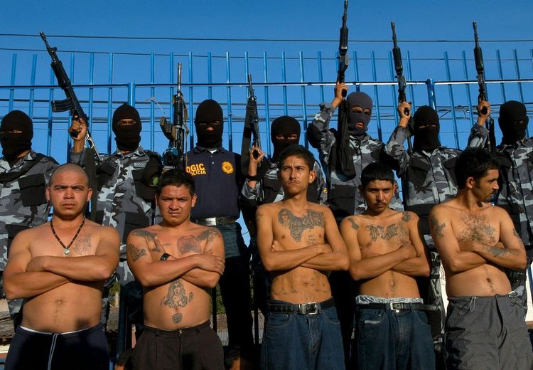 Peduli Setan Walau Musuhnya Gembong Narkoba Paling Berbahaya di Meksiko, Inilah Miriam Rodriguez Emak-emak Pemburu Komplotan Geng Narkoba yang Ingin Balaskan Dendam Putrinya