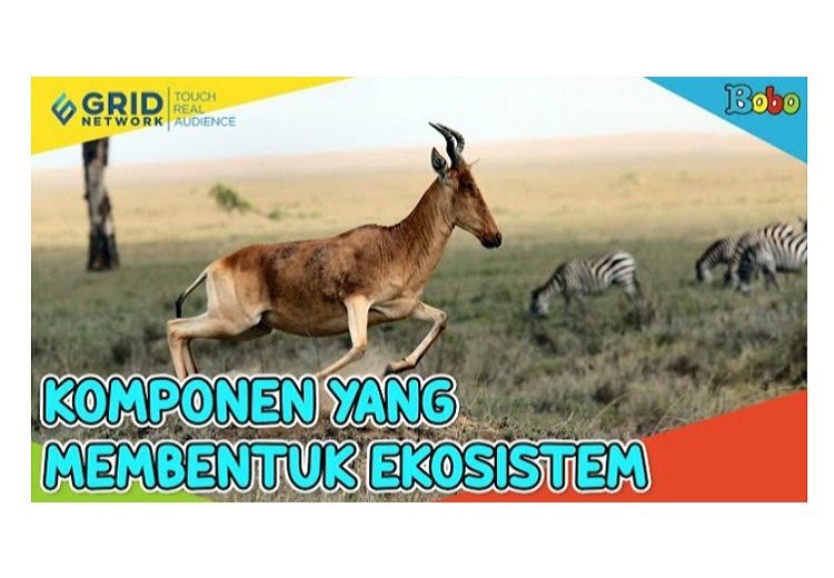 Iptek