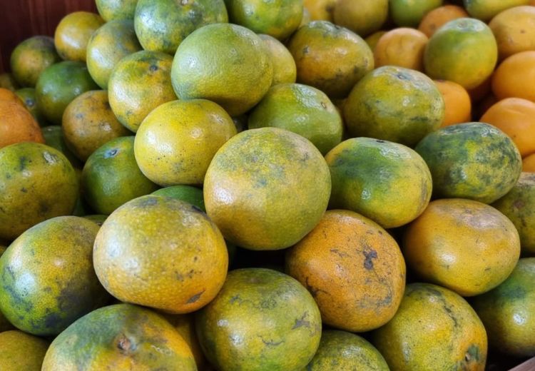 6 Buah-buahan Rendah Karbohidrat, Pilihan Sehat untuk Diet dan Gaya Hidup