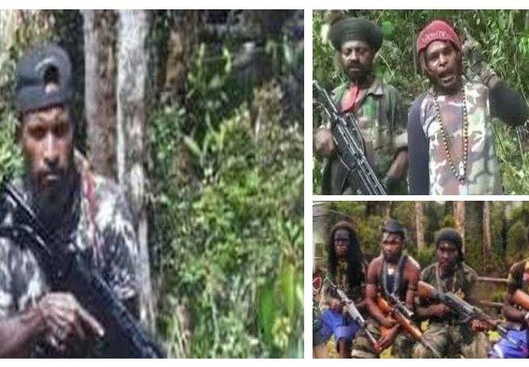 Tetap Dianiaya Meski Sudah Lompat ke Dasar Jurang, Viral di Sosmed Tiga Suster Ini Ngaku Jadi Korban Keganasan KKB Papua: Kondisinya Benar-benar Mengerikan