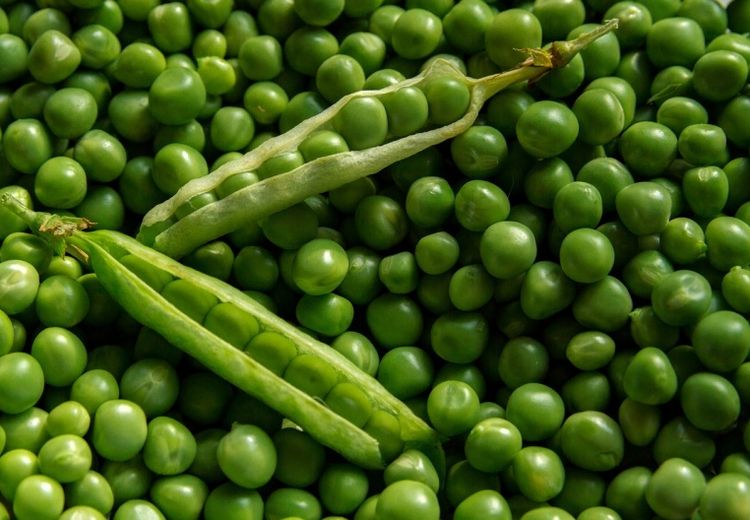 5 Manfaat Kacang Polong untuk Kesehatan, Bisa Turunkan Risiko Penyakit Jantung