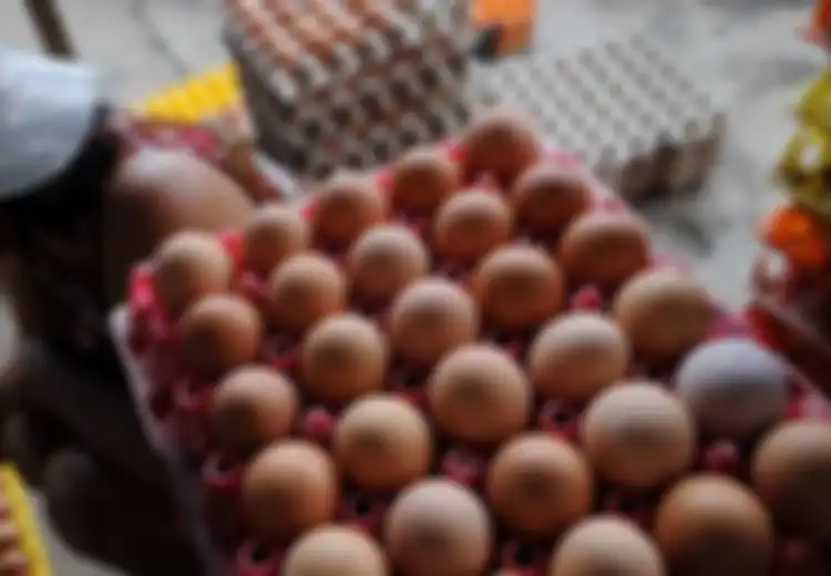 Usai Lebaran 2018, Harga Telur Ayam Naik Hingga Rp31.000 per Kg