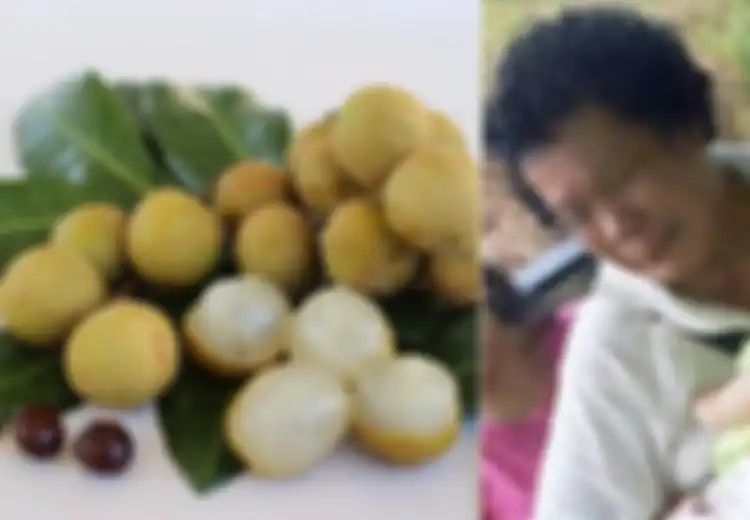 Balita Malang Ini Meregang Nyawa Akibat Tersedak Kelengkeng, Peringatan Buat Orangtua!