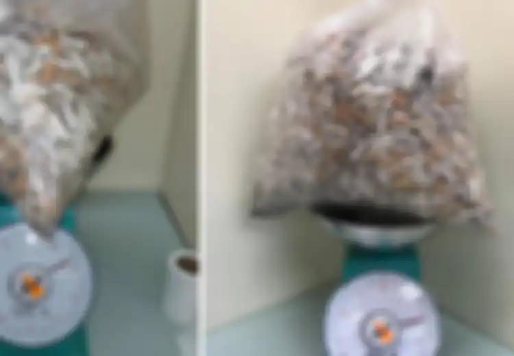 Cuma di Tempat Ini Puntung Rokok Bisa Dijual dengan Harga Rp79 Ribu per Kilo, Kok Bisa?