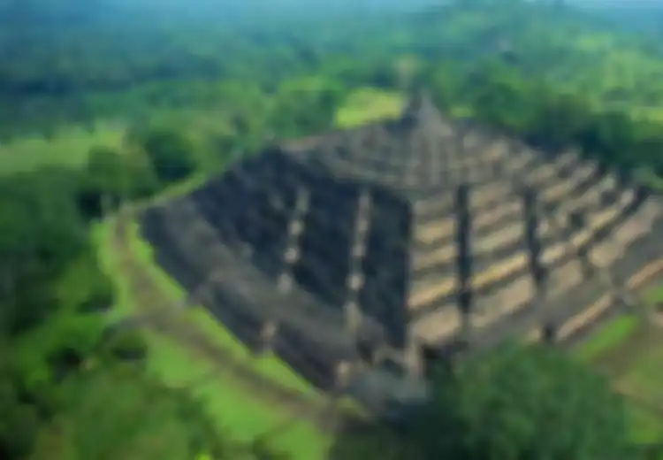 Diduga Sebagai Bangunan yang Melukiskan Bunga Teratai, Benarkah Dahulu Borobudur Dibangun di Tengah Danau?