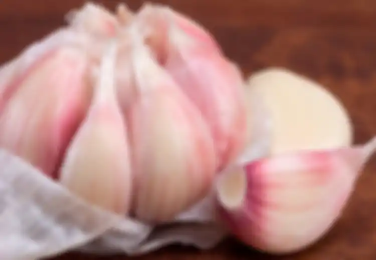 Konsumsi Bawang Putih Mentah Saat Perut Kosong, Manfaat Maksimal Berikut Akan Didapatkan Tubuh
