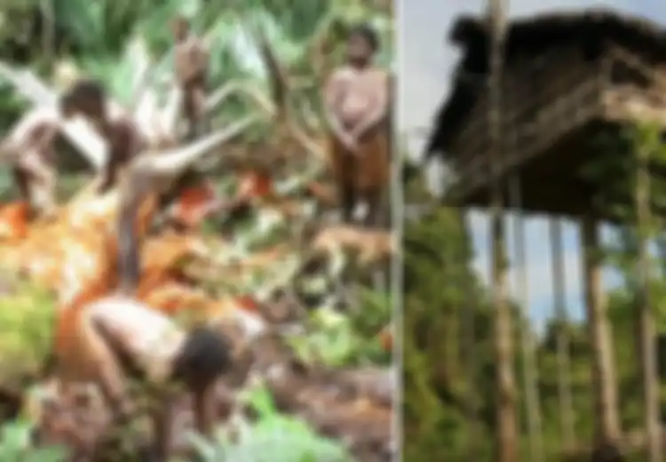 Hidup 'Bertengger' di Atas Pohon Tinggi, Keseharian Suku Korowai di Indonesia Ini Bikin Mereka Tidak Tahu Ada Manusia Lain Hidup di Bumi
