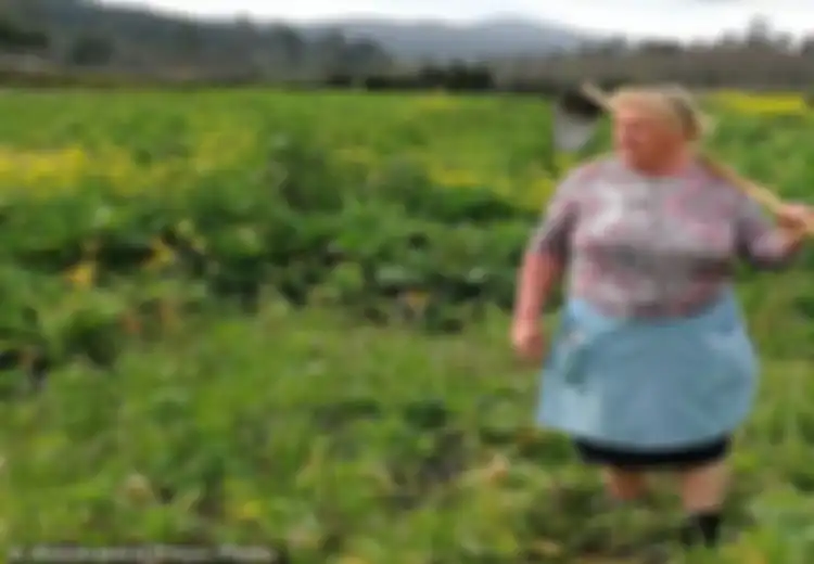 Ya Ampun, Wanita Ini Mirip Banget Donald Trump! Netizen Terperangah