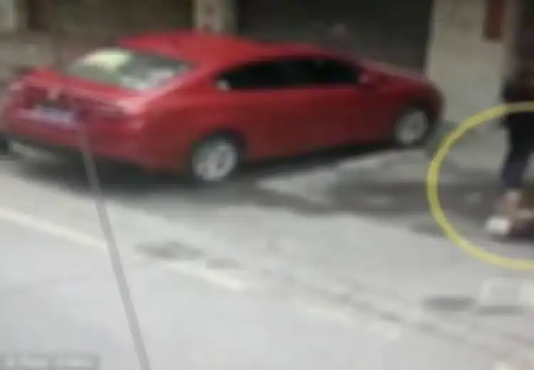(Video) Apes, Wanita Ini Pingsan dan Alami Luka Serius Karena Kepalanya Tertimpa Seekor Anjing