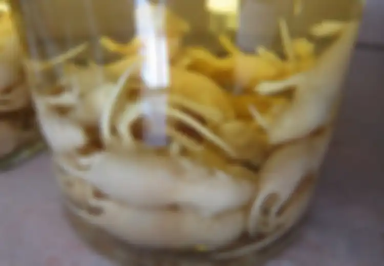 5 Minuman Paling Aneh dan Menjijikkan di Dunia, Berani Coba?