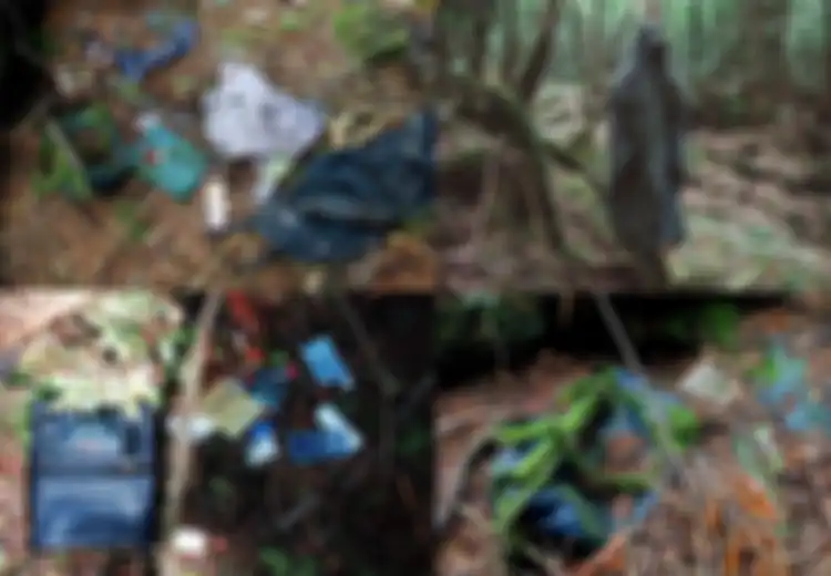 Kesaksian Korban yang Diselamatkan dari Bunuh Diri di Hutan 'Bunuh Diri' Aokihara Jepang: 'Lokasi yang Sempurna untuk Mati'