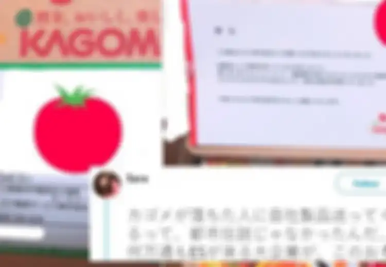 Lamaran Kerjanya Ditolak, Namun Wanita ini Malah Dapat Balasan Paket Tak Terduga dari Perusahaan Tersebut