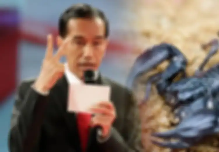 Pernyataan Jokowi Benar atau Hoax?  Inilah Fakta Racun Kalajengking di Mata Sains