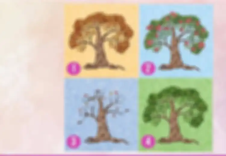 Pilih Salah 1 Dari 4 Gambar Pohon Ini dan Ungkap Rahasia dan Kepribadianmu