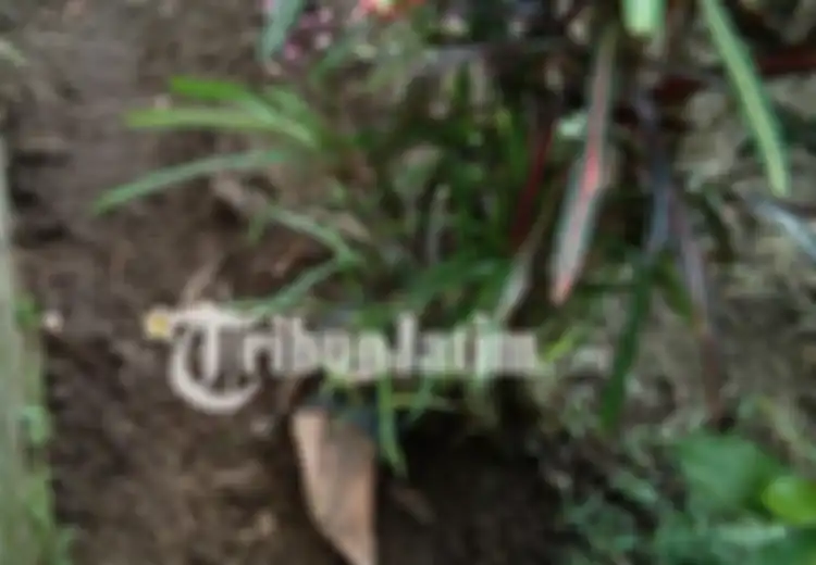 Terkuak, Ternyata Ini Motif Dibalik Kasus Menyembulnya Kaki di Pemakaman di Kediri