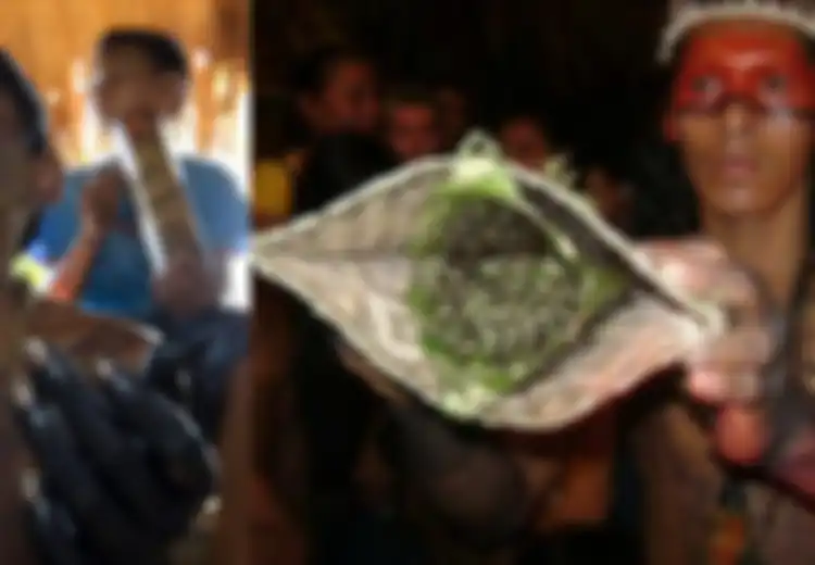 Siksaan Luar Biasa Jadi Orang Dewasa di Suku Amazon Ini, Harus Rela Tangan Disengat Ratusan Semut Peluru