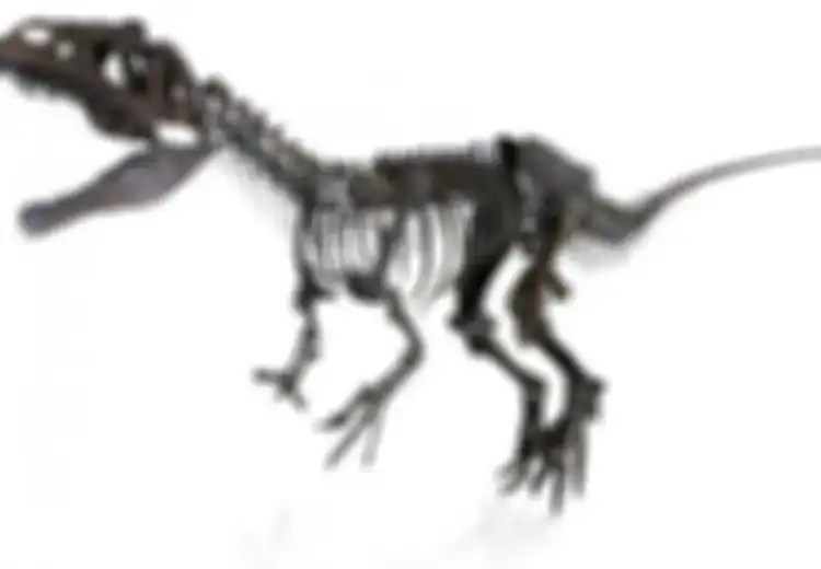 Para Ilmuwan Marah Karena Fosil Dinosaurus Langka Dilelang Rp28 Miliar