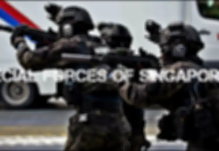 Kehebatannya Bukan Main, Salah Satunya Lumpuhkan Pembajakan Pesawat Kurang dari 1 Menit, Ternyata Pasukan Khusus Singapura Ini Pernah Dilatih Israel