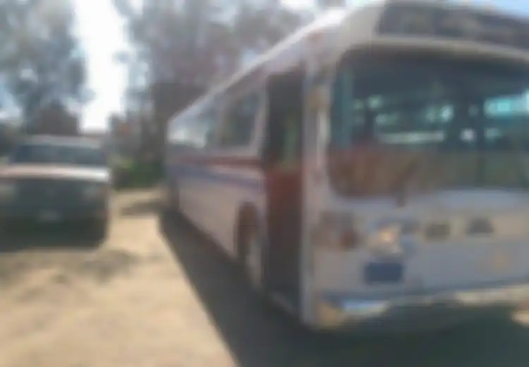Setelah 3 Tahun dan Habiskan Rp1 Miliar, Wanita Ini Berhasil Ubah Bus Tua Jadi Rumah yang Nyaman nan Modern