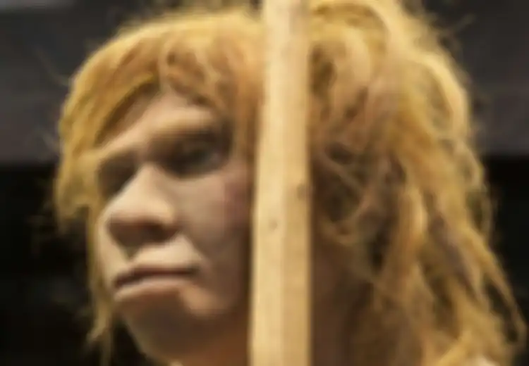 Hii... Ilmuwan Ingin Tumbuhkan Kembali Otak yang Telah Punah 40 Ribu Tahun Lalu, Untuk Apa Ya?
