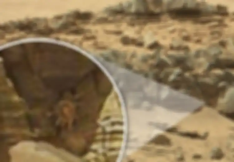 (Foto) Misterius, Inilah 7 Penampakan Luar Angkasa yang Berhasil Terekam Kamera NASA