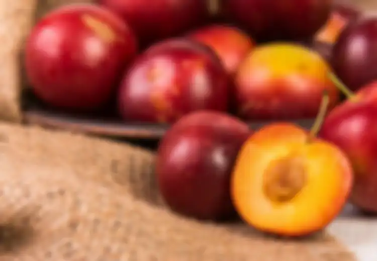 8 Manfaat Buah Plum, 'Superfood' Hits yang Bisa Cegah Kanker hingga Tingkatkan Kecerdasan Otak