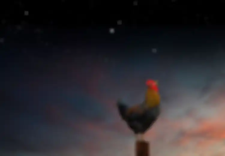 Suara Kokoknya Terlalu Kencang, Ayam Jantan Asal Perancis Ini Harus Berurusan dengan Pengadilan