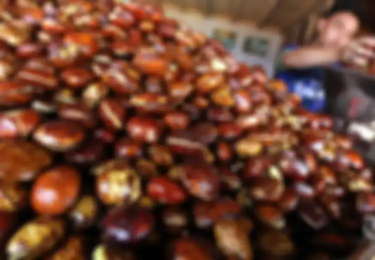 Meski Menimbulkan Bau Tidak Sedap, Jengkol Punya Manfaat Bagi Kesehatan Tubuh, Mampu Mencegah Anemia hingga Diabetes