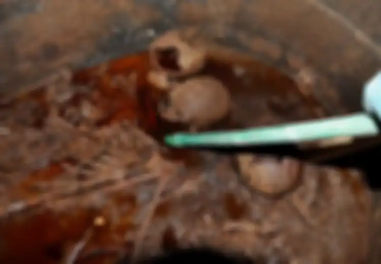 21.000 Orang Tandatangani Petisi Minum 'Jus Mumi', Apa Sebenarnya Cairan Kecoklatan Ini?