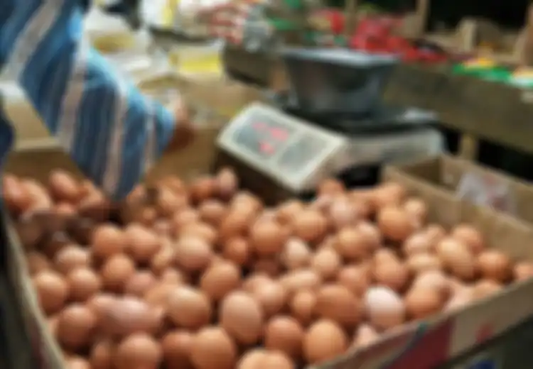 Ternyata, Mahalnya Harga Telur di Indonesia Terjadi Gara-gara Piala Dunia, Kok Bisa?